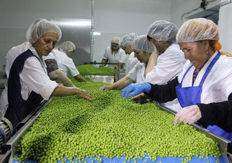 Image for Russia has surplus of peas after failing to boost exports to China, analysts say
