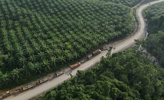 Image for Indonesia to file suspension of concessions against EU on palm oil dispute in WTO