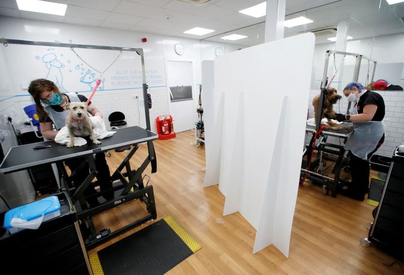 Image for UK's Pets at Home launches retail turnaround drive after profit drop