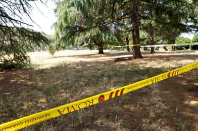 Image for Italy arrests US man over mother and child deaths in Rome park