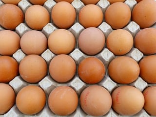 Image for French appetite for eggs hits record highs in 2025