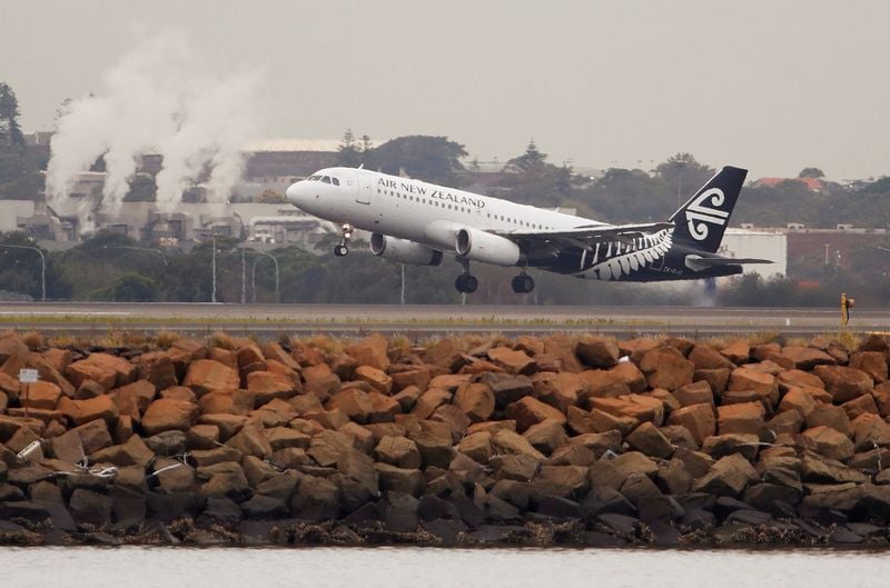 Image for Air New Zealand to cut flights as fuel price surge wreaks havoc on travel