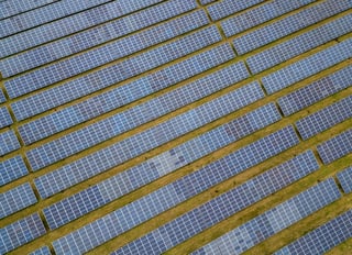 Image for Britain secures record amount of solar in renewable power auction