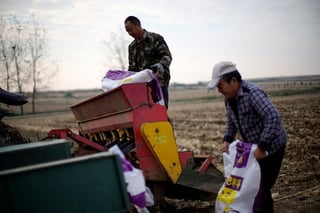 Image for Explainer-How does the Iran war affect fertiliser supplies, prices and food security?
