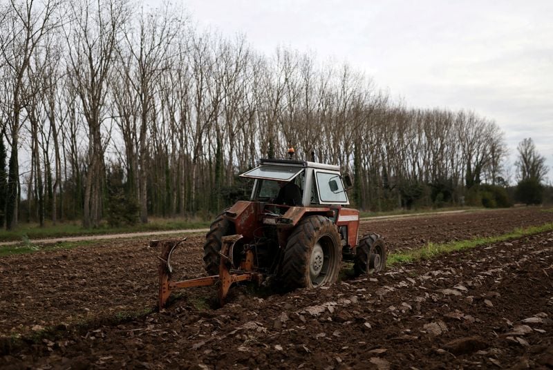 Image for EU eyes grants, subsidies to offset Iran war impact on farming, transport