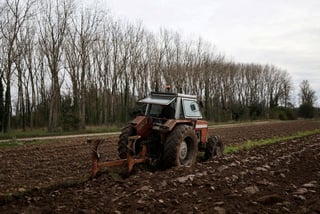 Image for EU eyes grants, subsidies to offset Iran war impact on farming, transport