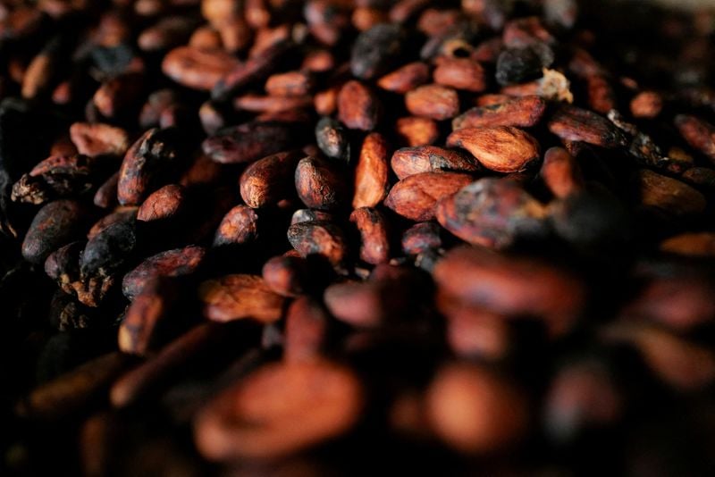 Image for Hartree in talks to buy major cocoa trader Touton, sources say