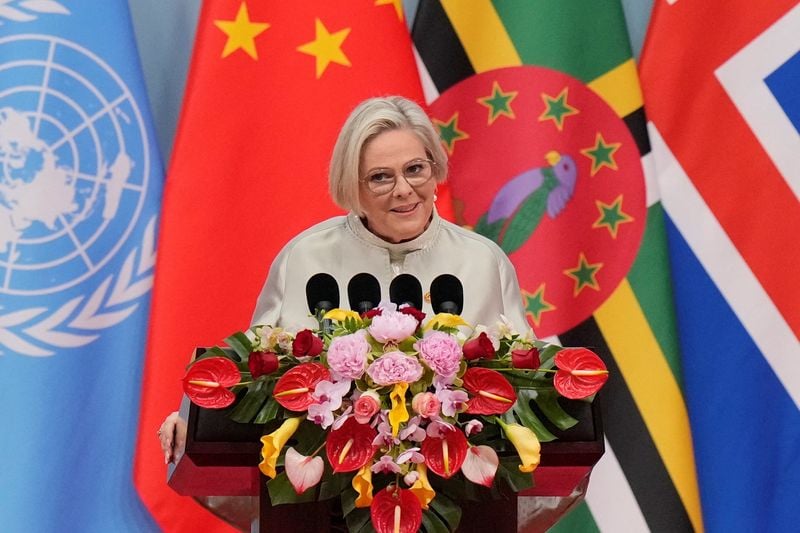 Image for China, Iceland to boost geothermal, green energy cooperation, joint statement says