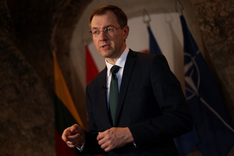 Image for Exclusive-Finland and Lithuania set to produce anti-personnel mines, officials say