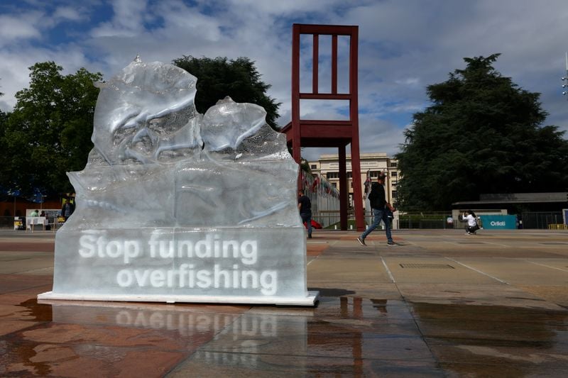 Image for Deal to curb billions in overfishing subsidies comes into force at WTO