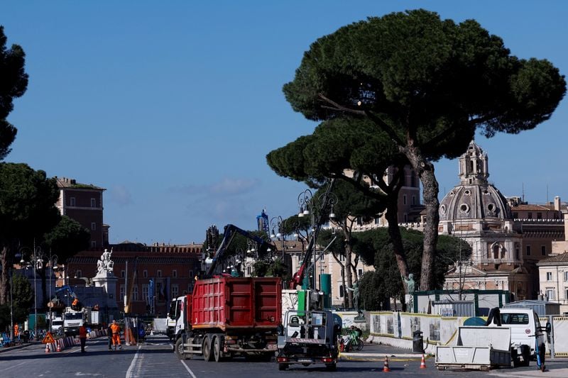 Image for Rome cuts down ageing pines along avenue leading to Colosseum