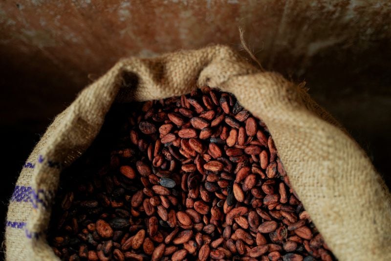 Image for Explainer-How did Ivory Coast and Ghana's cocoa sales crisis come about?