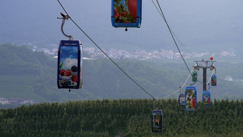 Image for Italian apples get their own dedicated cable car ride