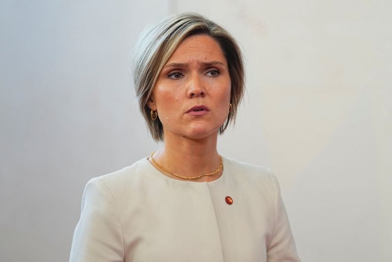 Image for Iceland to hold EU referendum 'in the coming months', PM says