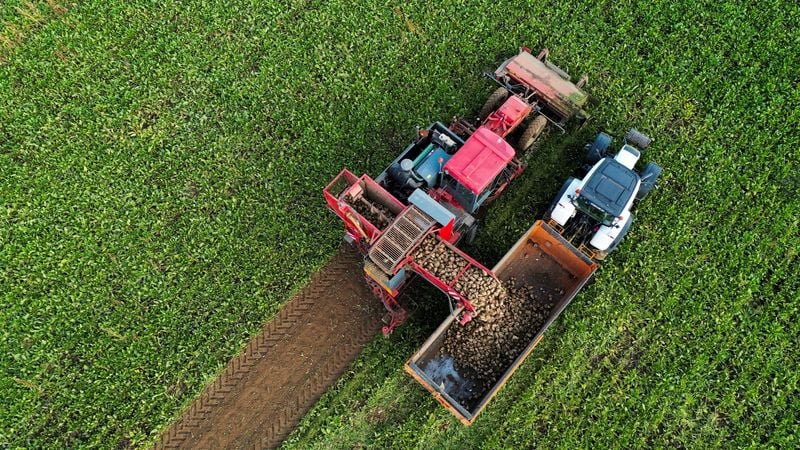 Image for EU set to suspend some duty-free sugar imports for a year, Bloomberg News reports