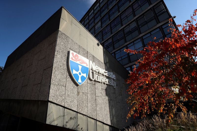 Image for Three-person IVF technique spared children from inherited diseases, scientists say