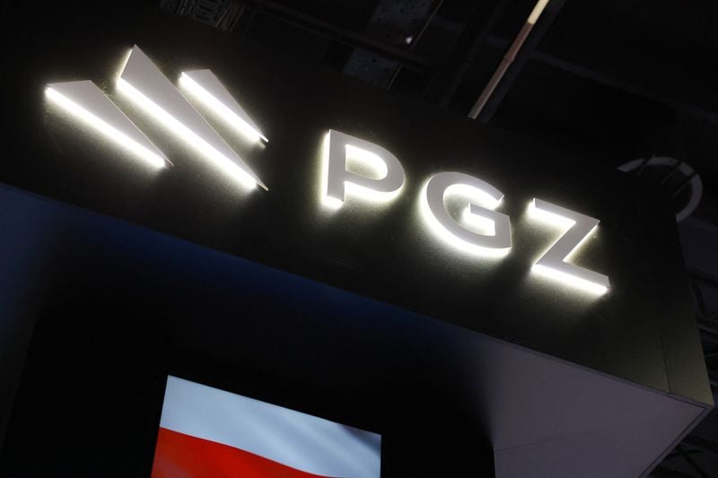 Image for Poland to choose two partners to build ammunition factories