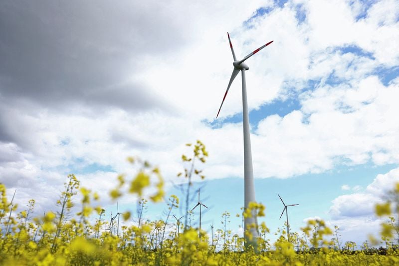 Image for Germany aims to reduce reliance on China for wind power components