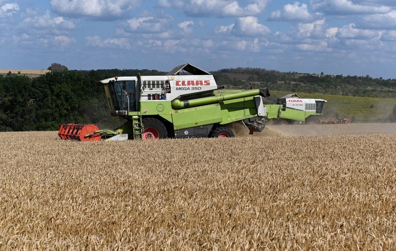 Image for Russia calls for joint food reserves with BRICS to counter Middle East crisis risks