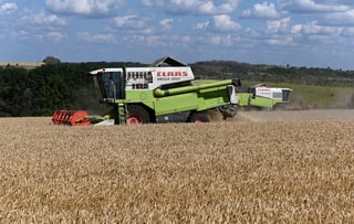 Image for Russia calls for joint food reserves with BRICS to counter Middle East crisis risks