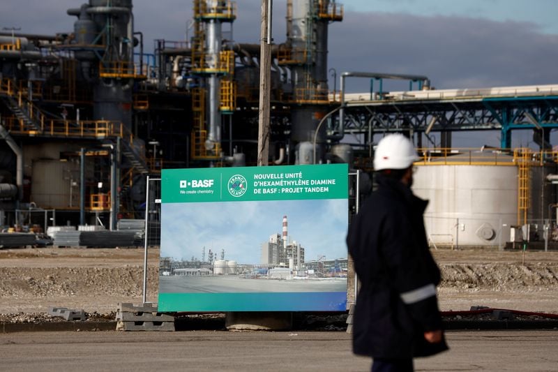 Image for BASF targets Frankfurt exchange for agricultural business listing