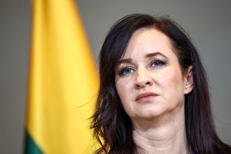 Image for Drone that crashed in Lithuania came from Ukraine, Lithuanian PM says