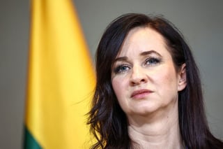 Image for Drone that crashed in Lithuania came from Ukraine, Lithuanian PM says