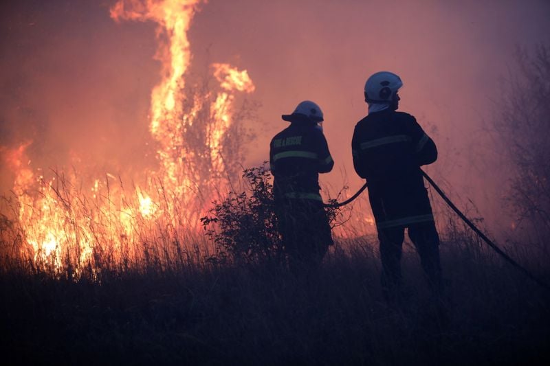 Image for Wildfires rage across Bulgaria, destroying forests and homes