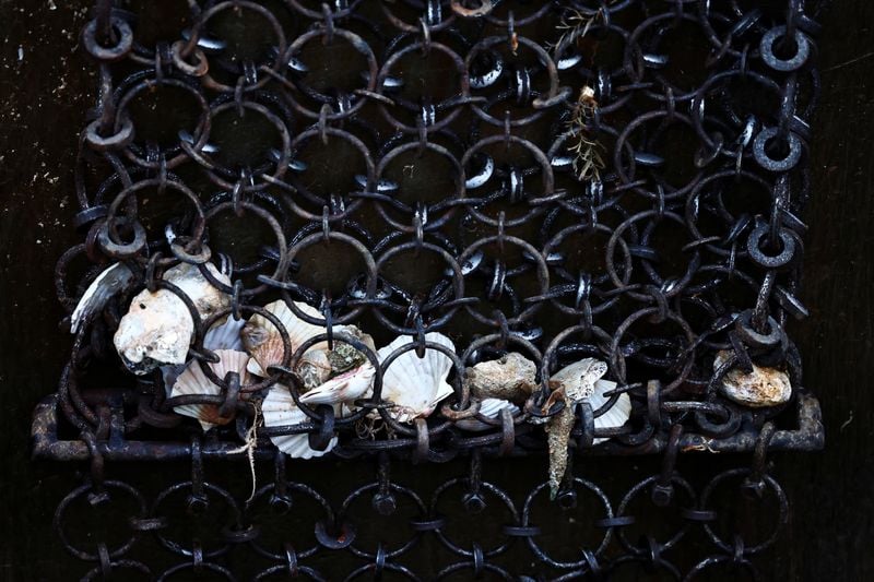 Image for UK seeks to extend ban on bottom trawling fishing in English seas