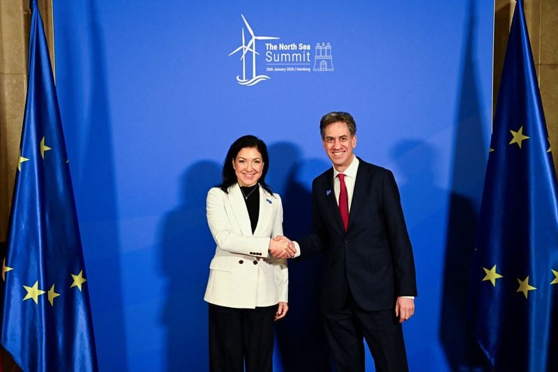 Image for UK, Germany grid operators to develop power link between offshore wind farms