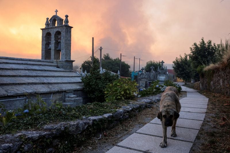 Image for Spain battles 20 major wildfires amid scorching heat, deploys more troops