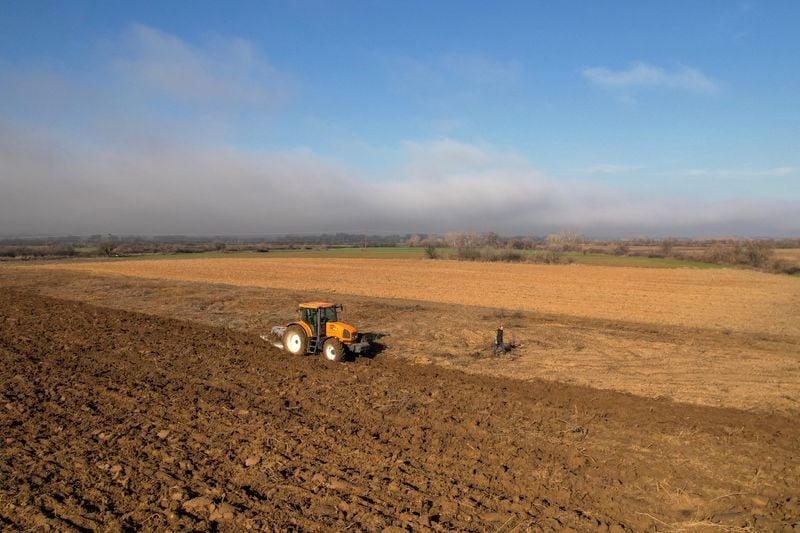 Image for Greek farmers pocket over 22 million euros in EU farm aid fraud, minister says