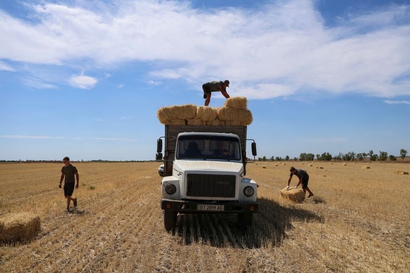 Image for Poland to uphold ban on imports of some Ukrainian food products