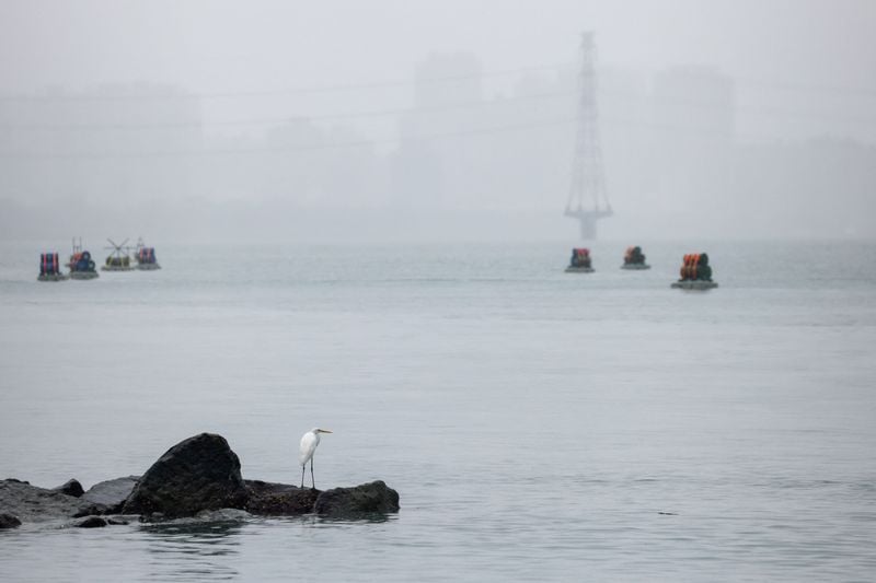 Image for US strike on Venezuela to embolden China's territorial claims, Taiwan attack unlikely, analysts say