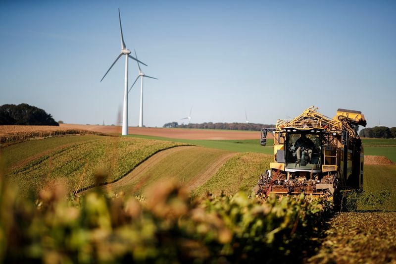 Image for Cristal Union revenue falls 14% as European sugar prices plunge