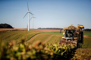 Image for Cristal Union revenue falls 14% as European sugar prices plunge