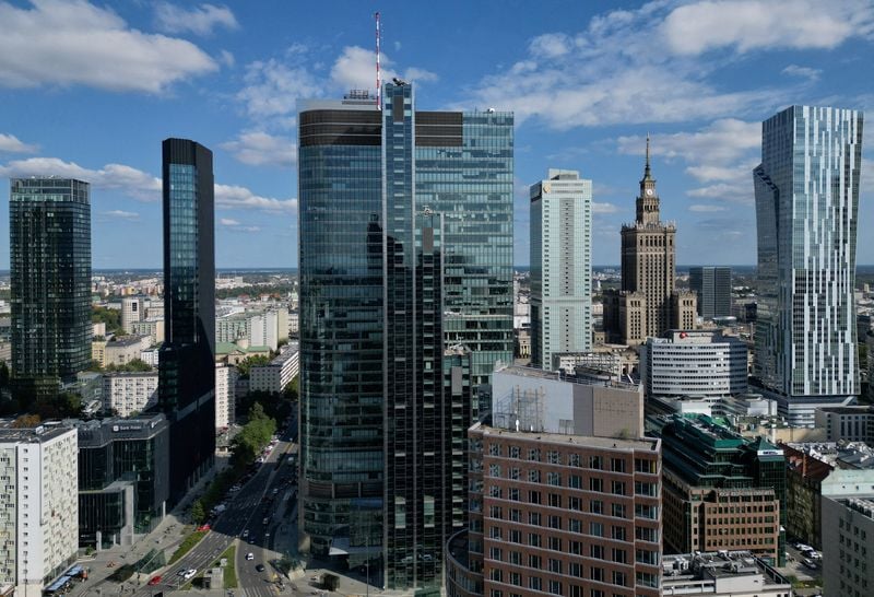 Image for Political feuding could harm Poland's investment appeal, business leader says