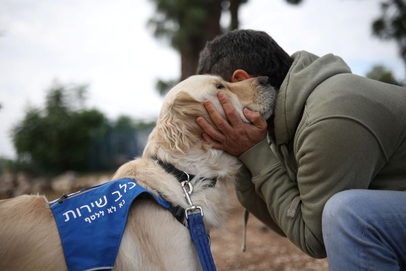 Image for Israel sees spike in PTSD and suicide among troops as war persists