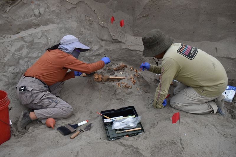 Image for Peruvian temple offers clues into 3,000-year-old human sacrifices