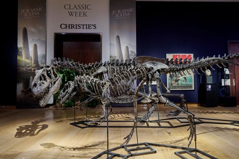 Image for Britain seizes dinosaur bones from Singapore businessman in crime proceeds case