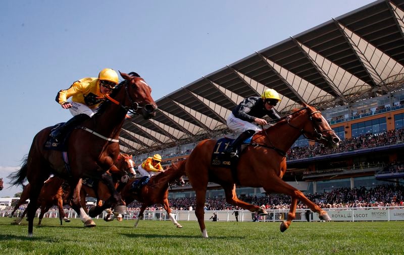 Image for Horseracing-Automatic betting terminals leave Ascot bookies all a flutter