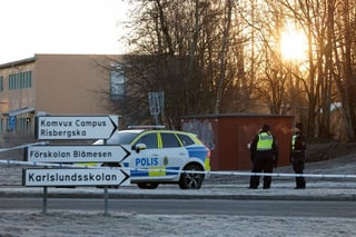 Image for Homicides in Sweden hit lowest level in over a decade in 2025