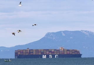 Image for MSC imposes war surcharge on shipments to Africa and Indian Ocean islands