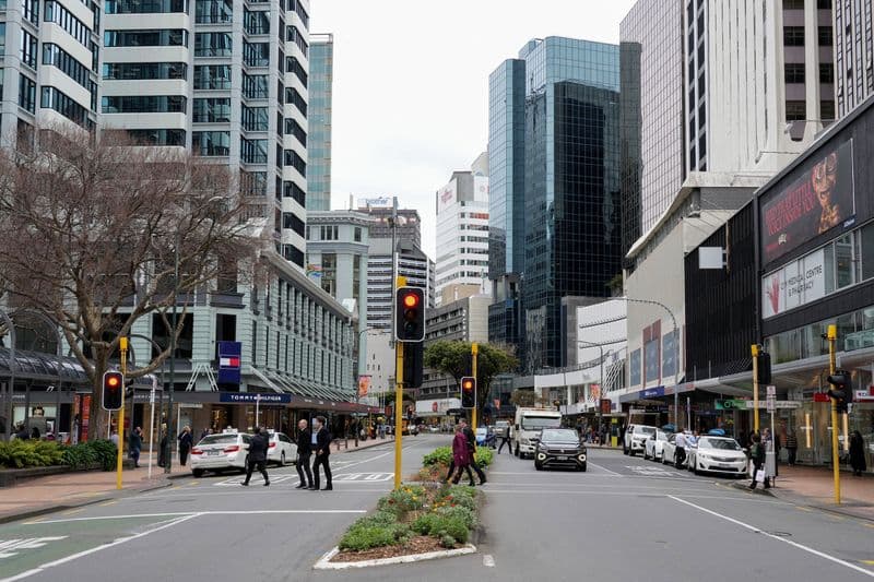 New Zealand's Economic Recovery Delayed but Not Derailed, Finance Minister Says