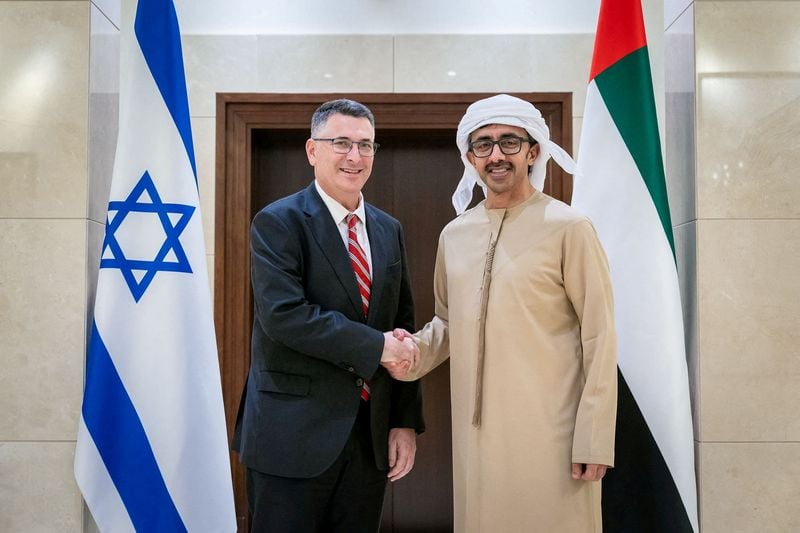 Image for UAE agrees with Israel to allow delivery of urgent aid to Gaza, WAM reports