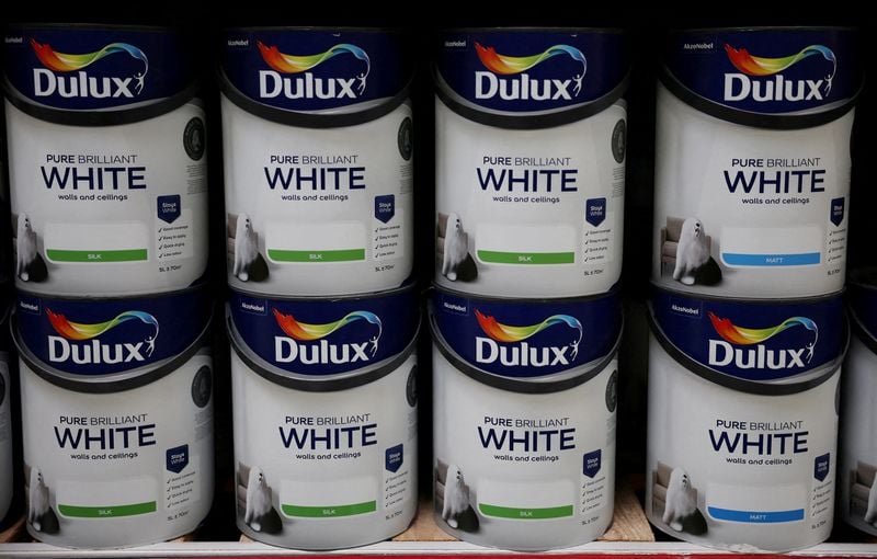 Image for Akzo Nobel eyes decorative paint disposals in Asia after $1.6 billion India unit sale