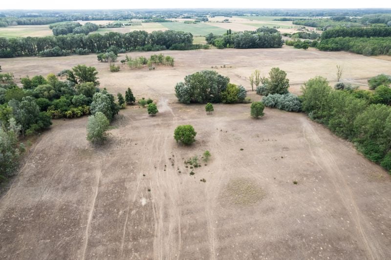 Image for Farmers consider abandoning drought-hit region in central Hungary