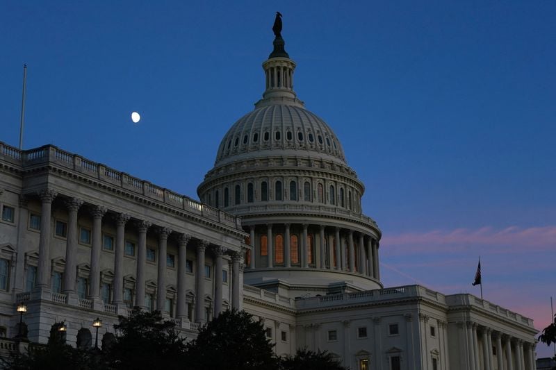 Image for Morning Bid: US politics can't shut down the animal spirits