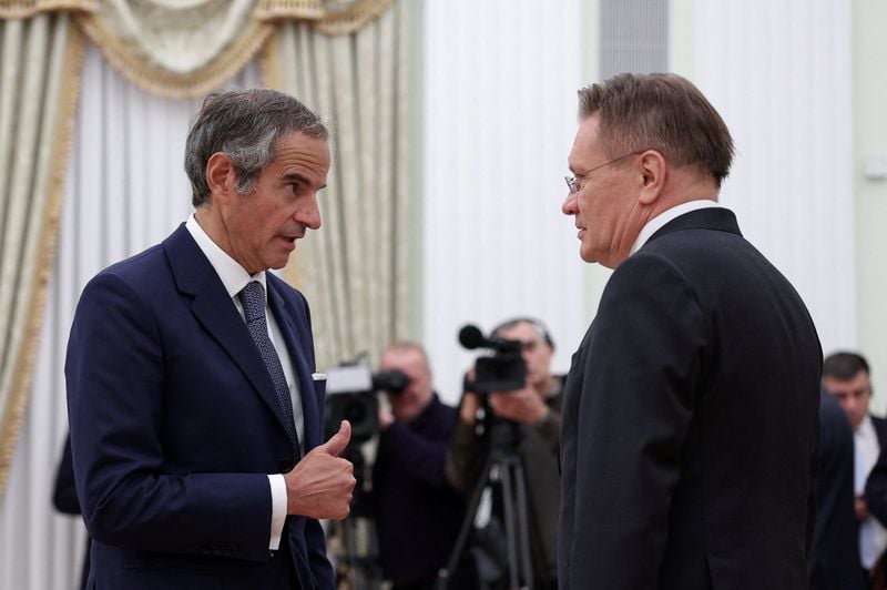 Image for IAEA director discusses non-proliferation with head of Russia's Rosatom