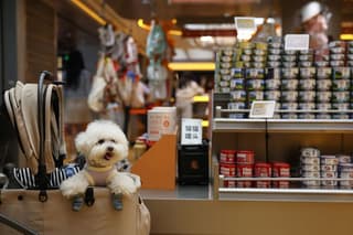 Image for Analysis-China’s $24 billion pet food market heats up as local brands challenge global players
